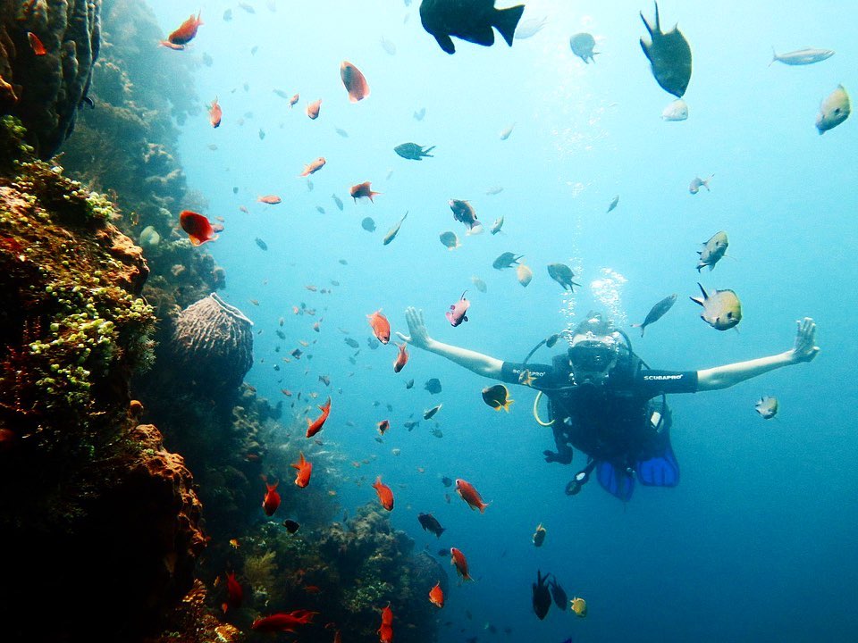 The Blissful Amed Diving