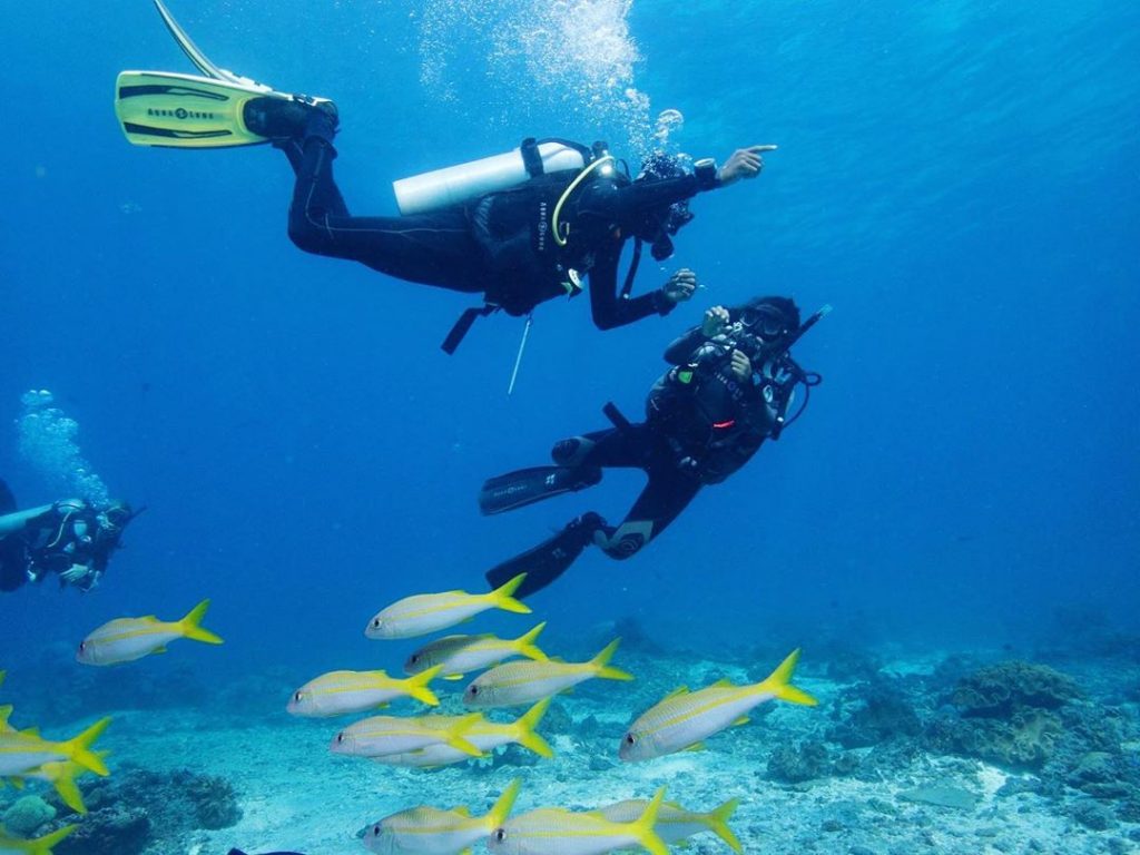 Scuba Diving Nusa Penida: Things You’ll Know