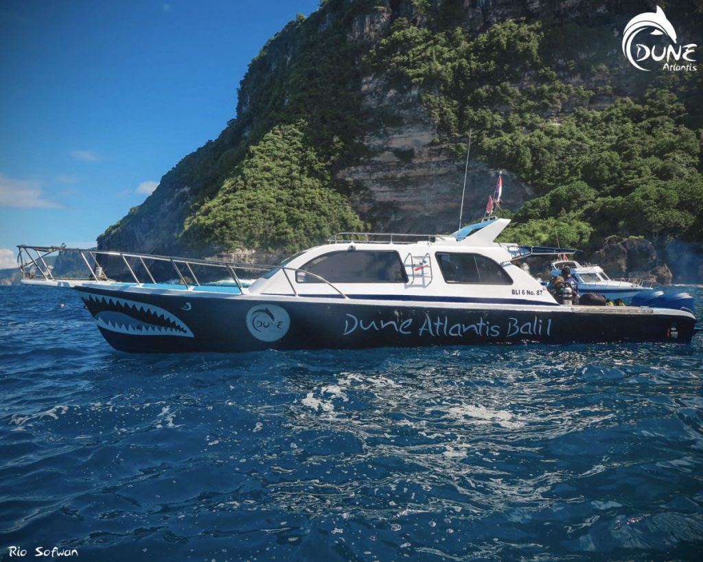 Find Bali Dive School or Operator for Your Adventure