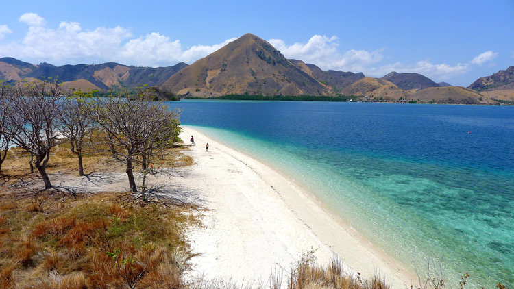 Kelor Island: The Hidden Gem You Can’t Miss on a Komodo Island Tour