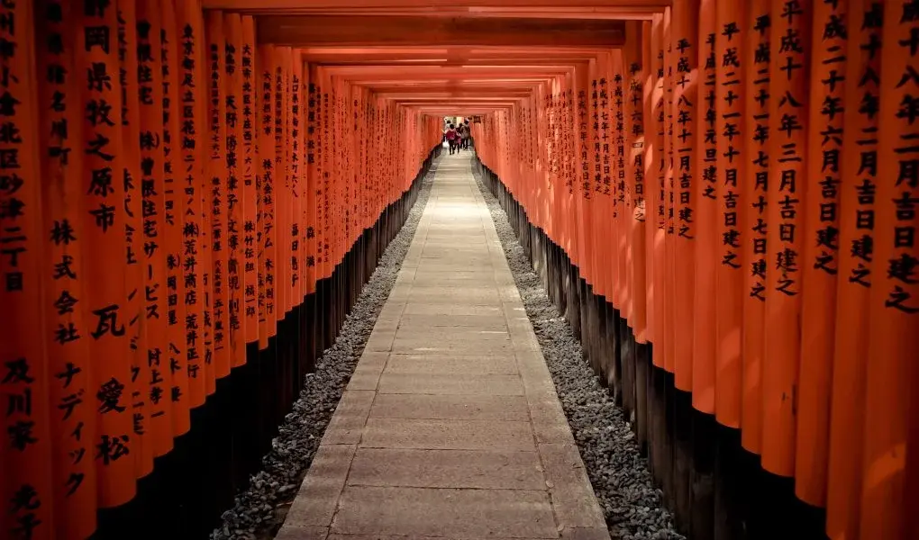 kyoto fushimi inari shrine torii gates